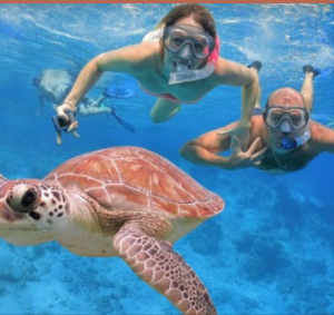 Daymaniyat Islands Snorkeling Tour