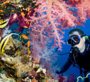 Daymaniyat Islands Scuba diving pro