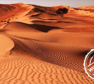 Wahiba Sands & Wadi Bani Khalid